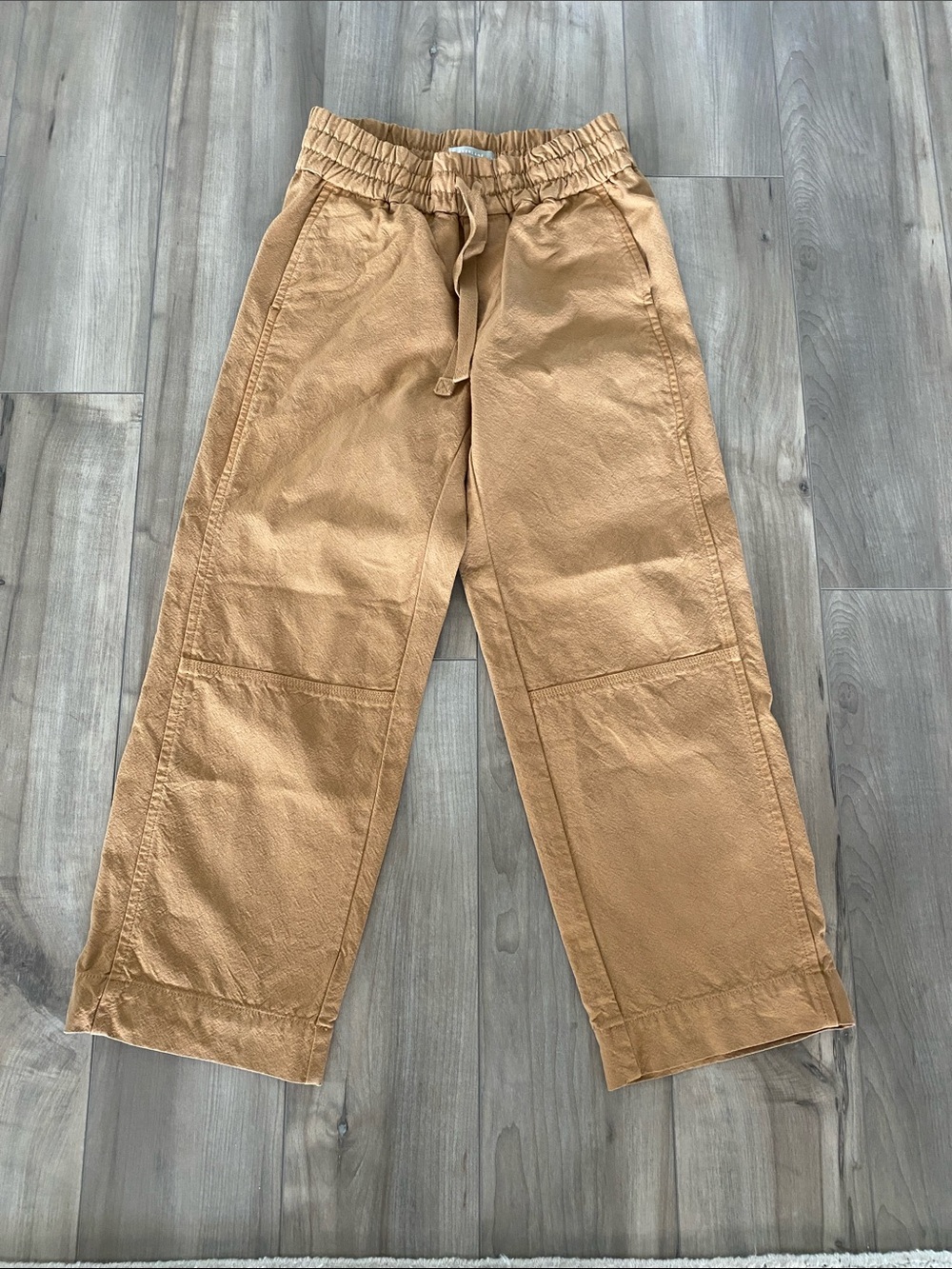 Everlane Canvas Organic Pull on Pants in cappuccino. Size medium.